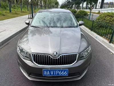 2017 Škoda Octavia 1.6L Automatic Pioneer Edition, фото 2, лот 10349216