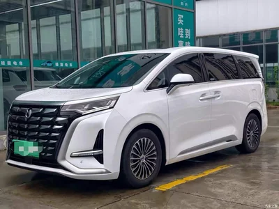 2024 Denza D9 DM-i 1050 Premium, фото 1, лот 10356369
