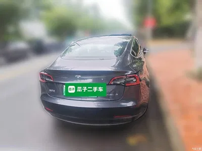 2020 Tesla Model 3 Standard Range Rear-Wheel Drive Upgrade, фото 3, лот 11570233