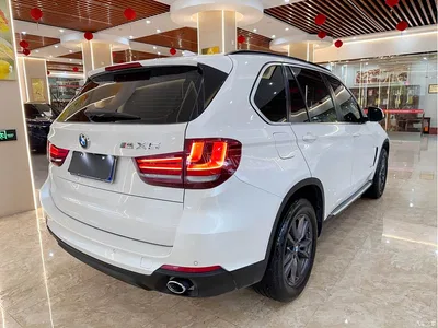 2014 BMW X5 (Import) xDrive35i Leading, фото 4, лот 10420504