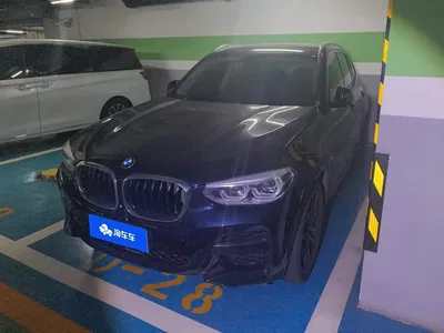 2020 BMW X3 xDrive30i Leading M Sport Package, фото 1, лот 10807903