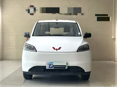 2024 Wuling Motors Wuling Hongguang New Energy Pure Electric 300KM Standard, фото 3, лот 11150343