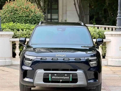 2026 smart Genie #5 Model 252km Standard Edition, фото 2, лот 10342942