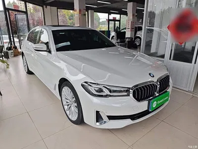 2021 BMW 5 Series Facelift 530Li Premium Luxury Package, фото 4, лот 11179729