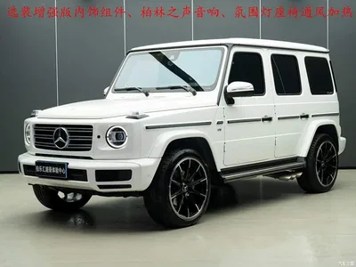 2022 Mercedes-Benz G-Class G 500, фото 2, лот 11003146