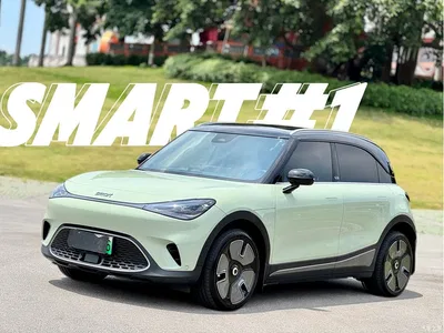 2022 smart Elf #1 Premium Edition, фото 1, лот 10343628