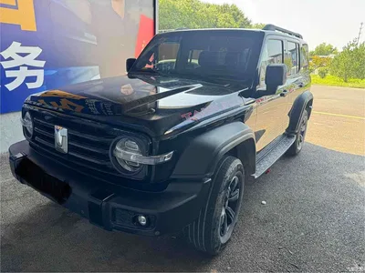 2021 Tank 300 Off-road Version 2.0T Conqueror, фото 1, лот 10344788