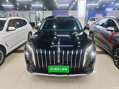 2024 Hongqi HS7 PHEV 2.0T PHEV 4WD Flagship Edition 6-seater, фото 3, лот 10289284