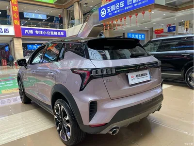 2021 Lynk & Co 06 1.5T Shero Pink Special Edition, фото 4, лот 10392270