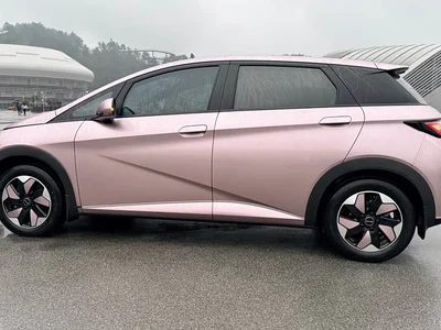 2025 BYD Dolphin 420km Freedom Edition, фото 4, лот 10253608
