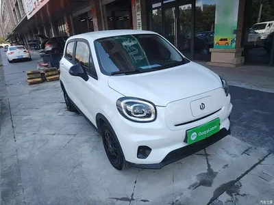 2025 Leapmotor T03 Model 310 Comfort Edition, фото 4, лот 10441616