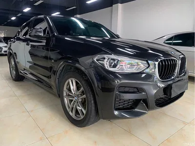 2020 BMW X4 xDrive25i M Sport Package, фото 3, лот 10894015