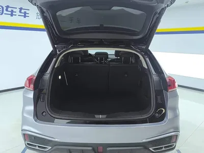 2021 WEY VV5 1.5T 2WD Smart Pioneer, фото 4, лот 10451302