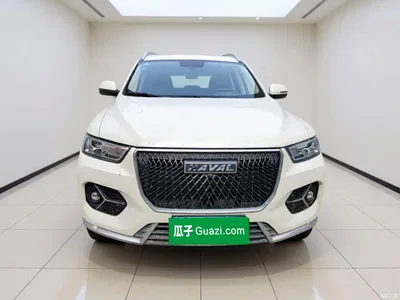 2021 Haval H6 1.5GDIT Automatic Champion Edition, фото 2, лот 11241848