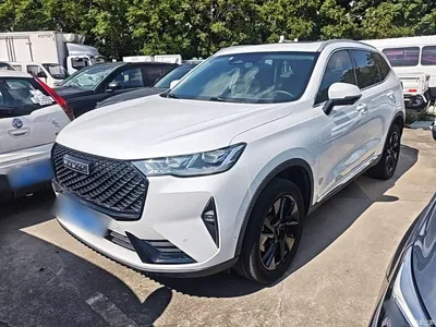 2021 Haval H6 3rd Generation 2.0T Auto AWD Max, фото 1, лот 11067116