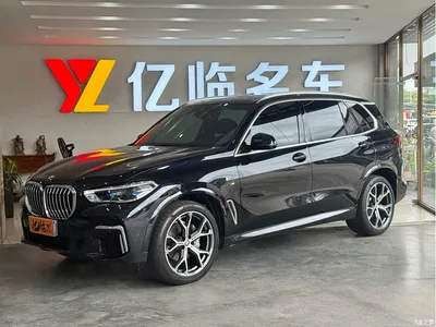2022 BMW X5 Facelift xDrive 40Li M Sport Package, фото 1, лот 10410169