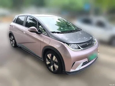 2021 BYD Dolphin 401km Knight Edition, фото 4, лот 11438127