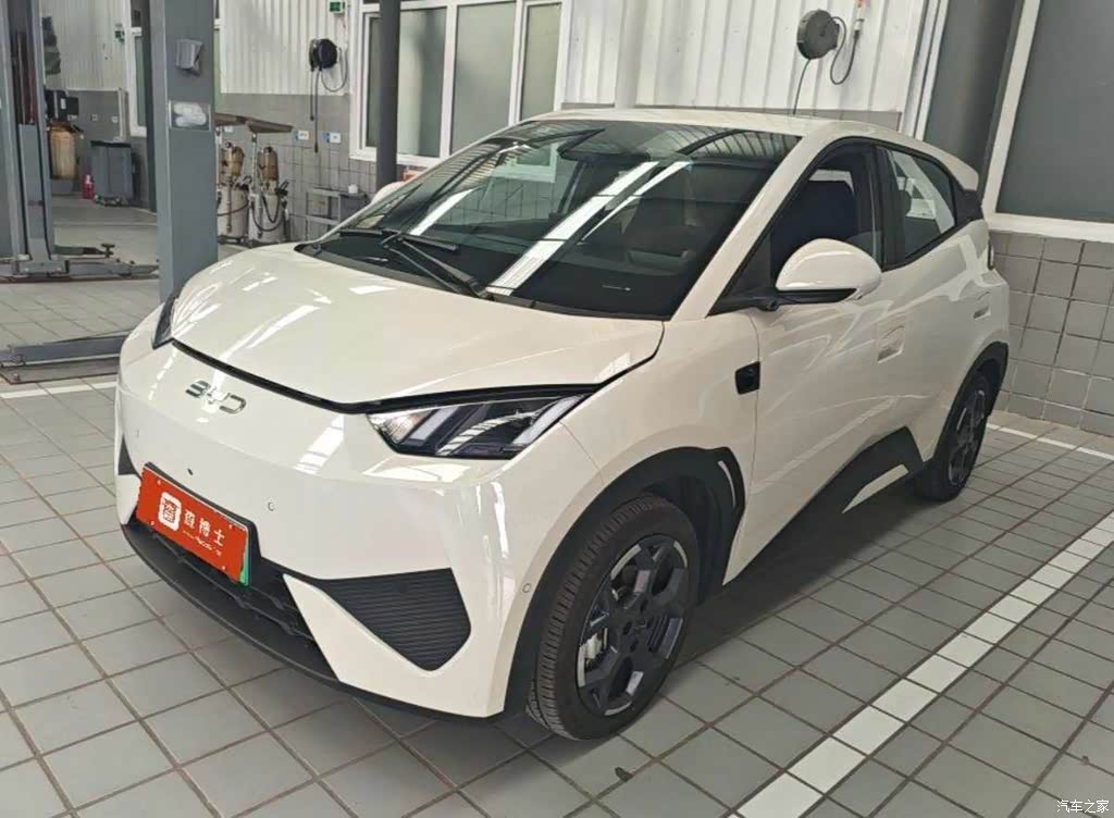 2025 BYD Seagull Smart Driving Edition 405km Flying Edition, фото 1, лот 11217466