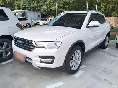 2016 Haval H7 Blue Label H7 2.0T Automatic Luxury, фото 1, лот 10285656