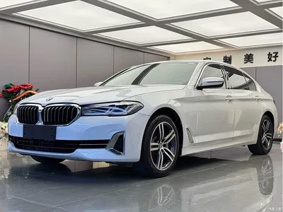 2022 BMW 5 Series 530Li Leading M Sport Package, фото 1, лот 11012706