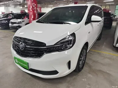 2021 Buick GL8 Land Business Class 652T Luxury, фото 1, лот 10382175
