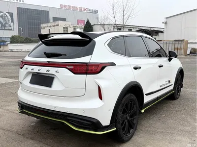 2021 Haval Chitu Boost Edition 1.5T Platinum Rabbit, фото 4, лот 10283610