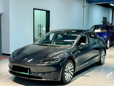 2025 Tesla Model 3 Model Rear-Wheel Drive Edition, фото 1, лот 10365140