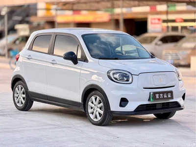2022 Leapmotor T03 Amber Edition, фото 3, лот 10317258