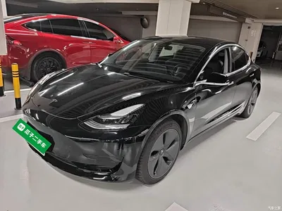 2020 Tesla Model 3 Standard Range Rear-Wheel Drive Upgrade, фото 2, лот 10389970