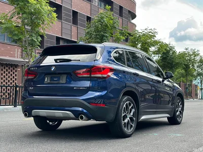 2020 BMW X1 sDrive20Li Premium Edition, фото 4, лот 10464802