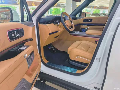 2025 ZEEKR 9X Model Standard, фото 4, лот 11248589