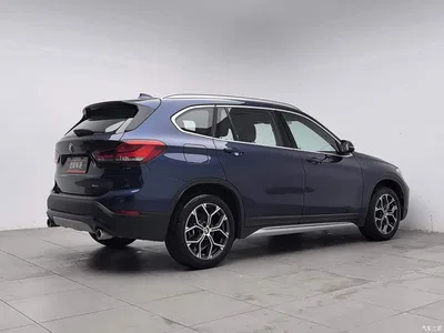 2020 BMW X1 sDrive20Li Premium Edition, фото 2, лот 11568654