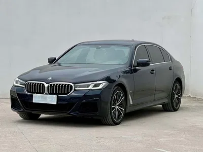 2022 BMW 5 Series 530Li Leading M Sport Package, фото 1, лот 11193959