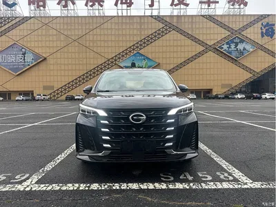 2021 GAC Trumpchi Trumpchi M6 PRO 270T DCT Luxury Edition, фото 3, лот 10420053
