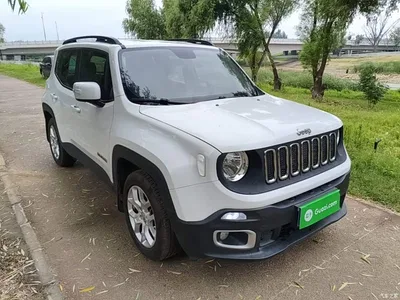2016 Jeep Renegade 1.4T Automatic Kinetic Edition, фото 4, лот 10291974