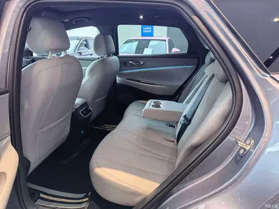 2025 BYD Sealion 06 New Energy DM-i 170 Pilot Plus Edition, фото 4, лот 10274093
