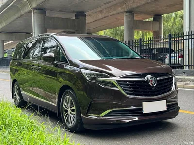 2021 Buick GL8 ES Landlord 653T Comfort, фото 3, лот 10256889