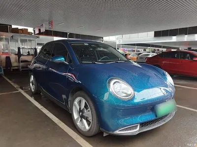 2023 Ora Good Cat 401km Standard Range Luxury LFP, фото 4, лот 10679664