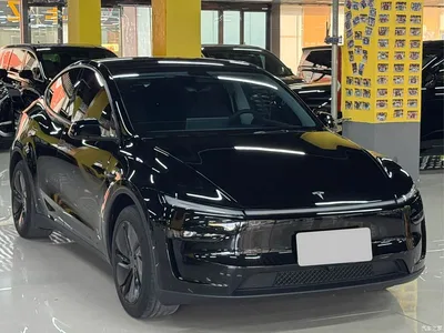 2025 Tesla Model Y Rear-Wheel Drive, фото 3, лот 10403963