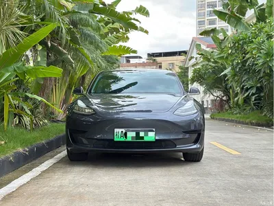 2019 Tesla Model 3 Standard Range Rear-Wheel Drive Upgrade, фото 2, лот 10355300