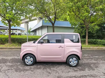 2024 Geely Galaxy Panda mini 200km Endurance Bear, фото 4, лот 10428791