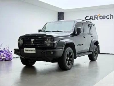 2021 Tank 300 Off-road Version 2.0T Conqueror, фото 1, лот 11190796