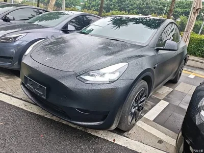 2024 Tesla Model Y Rear-Wheel Drive Version, фото 1, лот 11067807