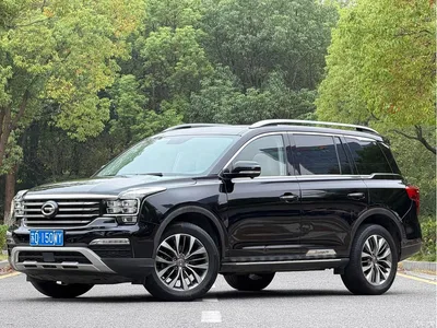 2017 GAC Trumpchi Trumpchi GS8 320T 2WD Luxury Smart Connect (7-seater), фото 1, лот 11002504