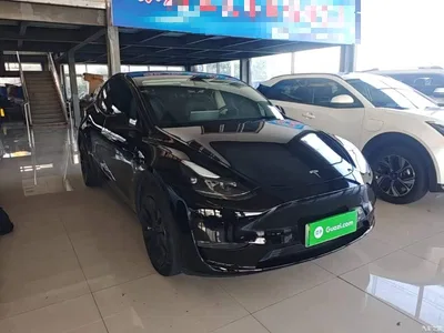 2021 Tesla Model Y Standard Range Rear-Wheel Drive, фото 4, лот 11550212