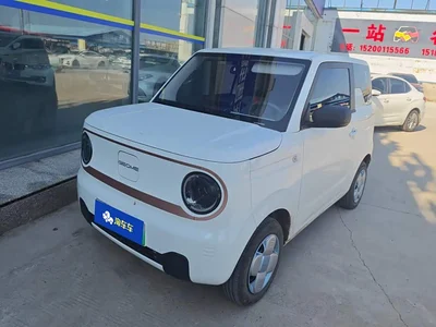 2024 Geely Galaxy Panda mini 200km Endurance Bear, фото 1, лот 10430455
