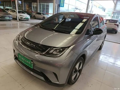 2023 BYD Dolphin 420km Freedom Edition, фото 1, лот 11243666