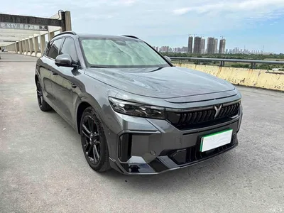 2025 Voyah Auto VOYAH FREE 318 318km RWD Touring Edition, фото 2, лот 10310976