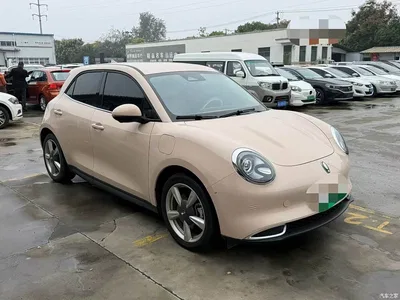 2023 Ora Good Cat 401km Standard Range Comfort LFP, фото 3, лот 11017774