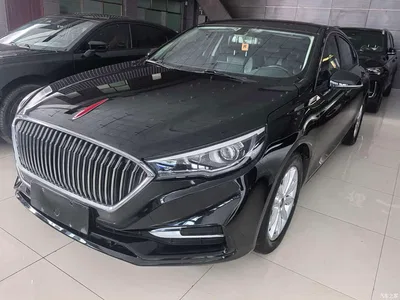 2019 Hongqi H5 30TD Style Edition, фото 1, лот 10288423